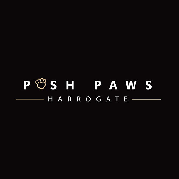 posh paws dumbo